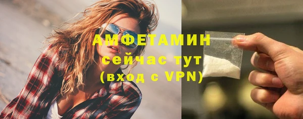 дмт Осташков