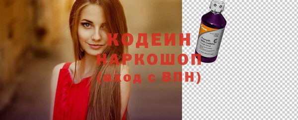 дмт Осташков