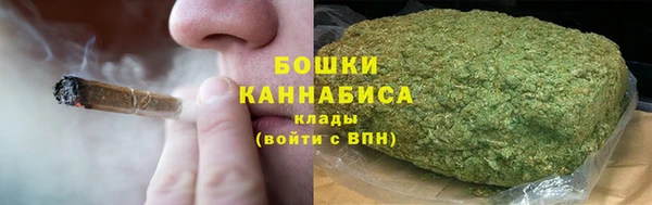 дмт Осташков