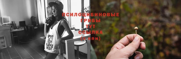 дмт Осташков