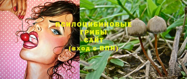 2c-b Няндома
