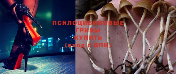 MESCALINE Осинники