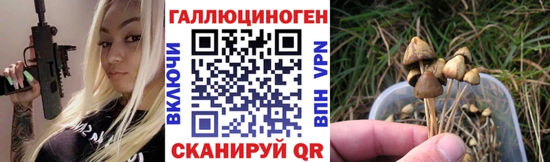Псилоцибиновые грибы MAGIC MUSHROOMS  Княгинино 